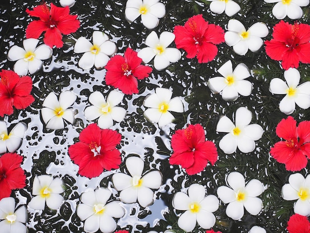 写真 スパの水に浮かぶ美しい花