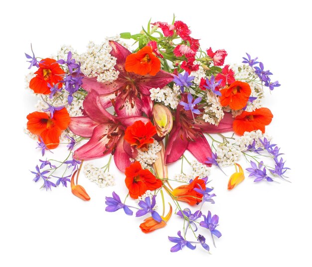 Beautiful flowers lilies, yarrow and nasturtium isolated on white background. Top view, flat