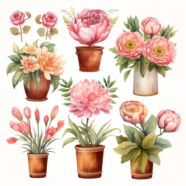 beautiful flowers in a pot in a boho style clipart illustration