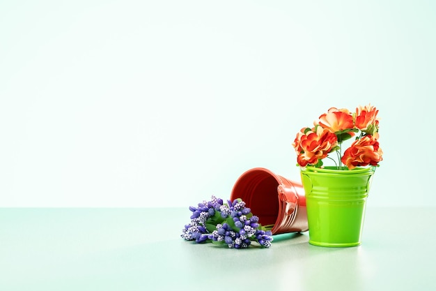 Beautiful flowers in pots on white background with copy space Garden concept