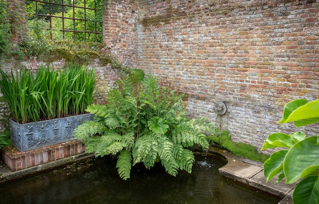 シシングハーストカスルテガーデンの美しい花、木、植物、庭の造園