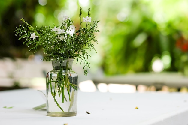 Foto bellissimi fiori in vaso decorazione sul tavolo.