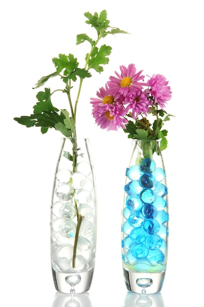 Photo beautiful flowers in vases with hydrogel isolated on white