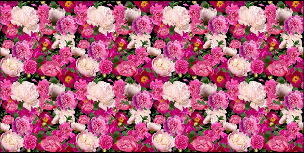 beautiful flowers on a white background. pattern of garden peonies. emplate for fabrics, textiles, p