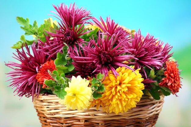 Красивые цветы в плетеной корзине на ярком фоне
