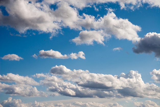 Foto belle nuvole soffici sullo sfondo del cielo blu.