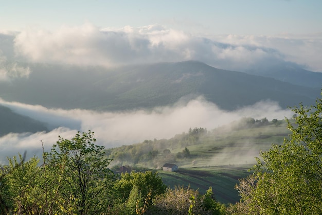 Beautiful fogs in the mountains at sunrise on a summer day
countryside fog near the mountain