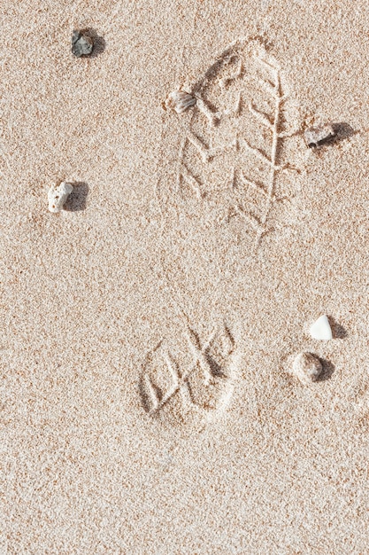 모래 바다 자연 배경에서 아름다운 발자국