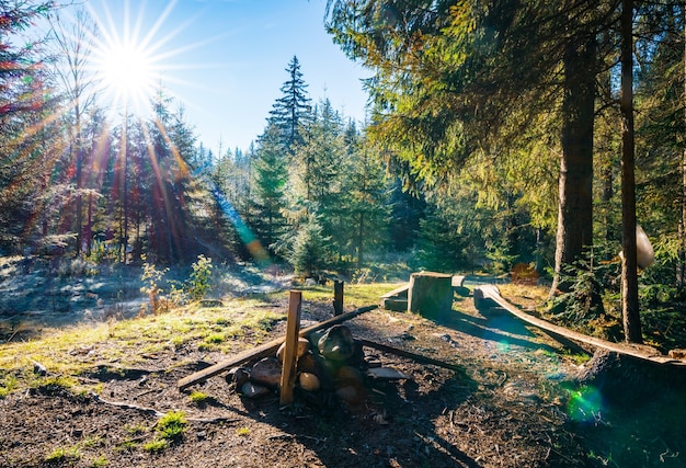 Beautiful forest clearing for hiking in the unusual hills of the Carpathians