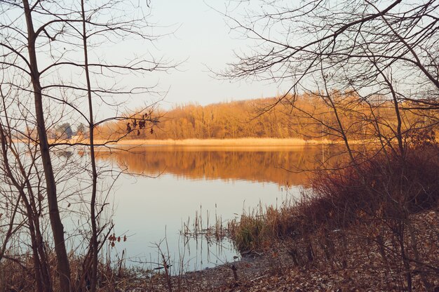 Photo beautiful forest lake early spring