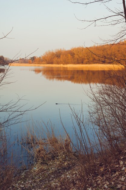 Красивое лесное озеро ранней весной