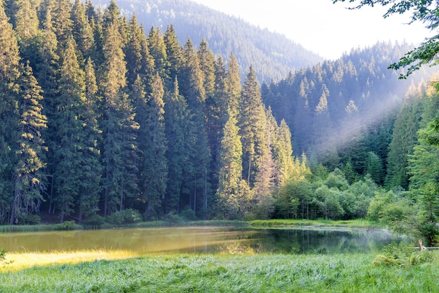 Beautiful forest lake in the mountains with blue water, morning light and shining sun