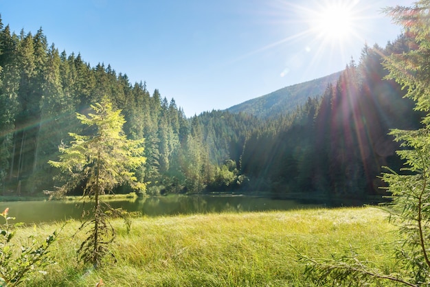 Beautiful forest lake in the mountains with blue water, morning light and shining sun