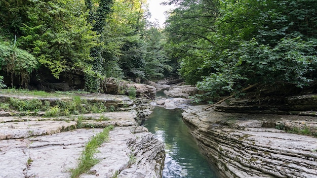 Beautiful forest and mountain river in Psakho canyon, Krasnodar Krai, Russia.