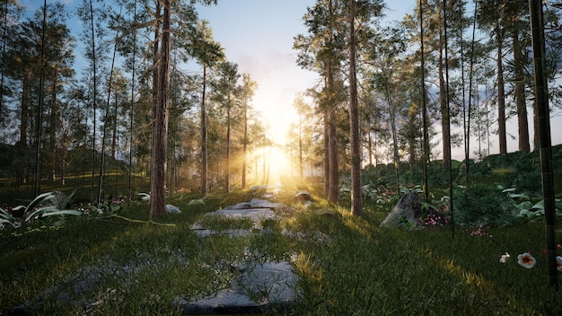 Bella foresta con alberi alla luce del sole del mattino