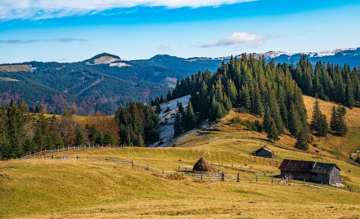 Фотография красивые леса, покрывающие карпаты, и небольшую деревню.