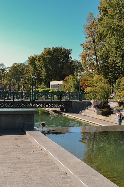Foto bellissime fontane nel parco di kharkiv