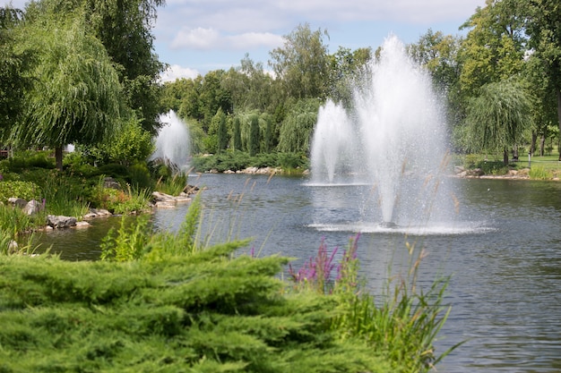 Beautiful fountains on pond at park at bright sunny day