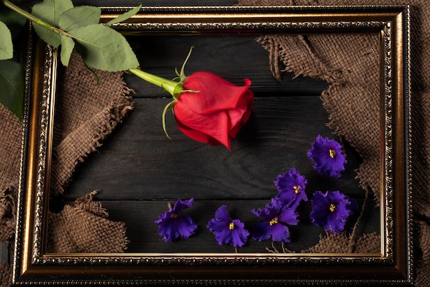 В красивой рамке кусочки холста красная роза и фиалки на деревянном фоне