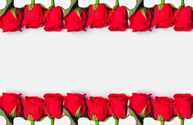 Photo beautiful frame of red roses on a white background holiday concept march 8 women's day valentine's day holiday mother's day banner place for text