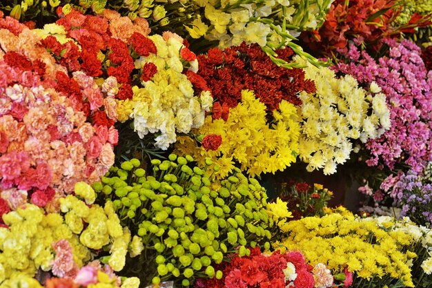 Beautiful fresh bright colorful flowers closeup background