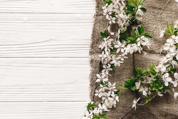 Beautiful fresh cherry branches with white flowers on rustic fabric on wooden background flat lay hello spring image space for text springtime blooming rural life concept