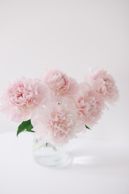 Beautiful fresh cut bouquet of pink peonies in a vase on white background