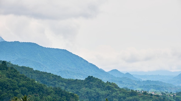 Beautiful and fresh hill view, West Java, Indonesia