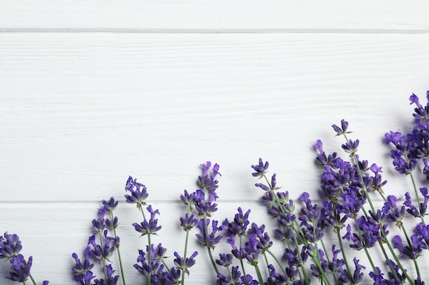 Beautiful fresh lavender flowers on white wooden background flat lay Space for text