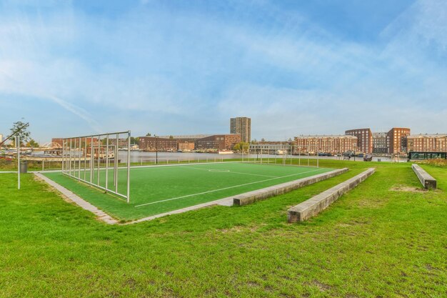 スポーツゲームのための美しい新鮮な芝生のフィールド
