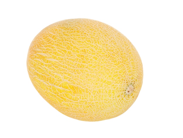 Bellissimo melone fresco