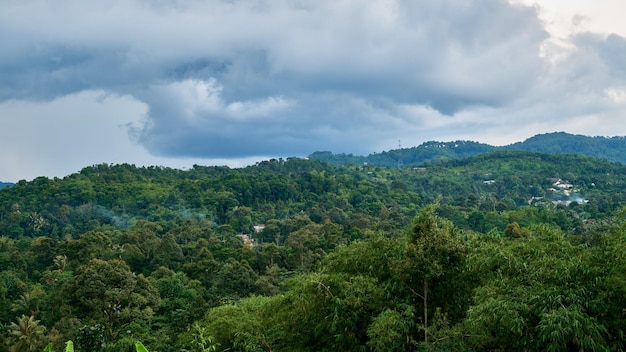 Beautiful and fresh mountain scenery