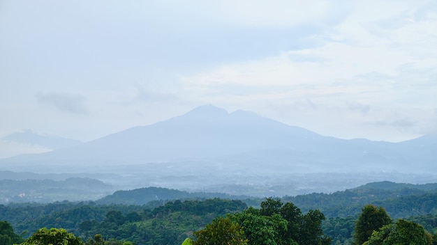 美しく新鮮な山の風景