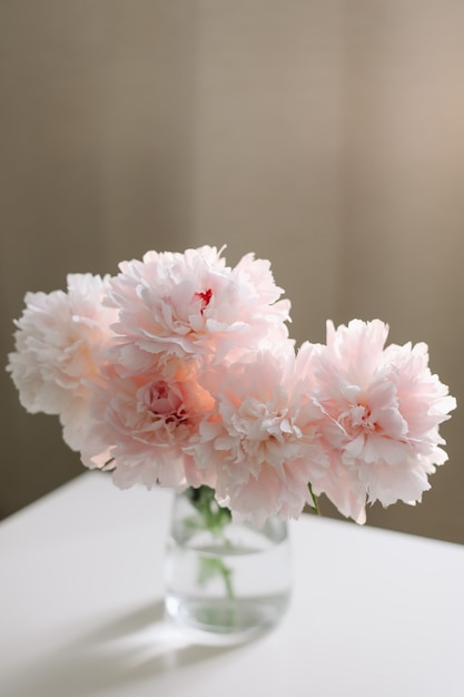 Belle peonie rosa fresche in un vaso all'interno della casa