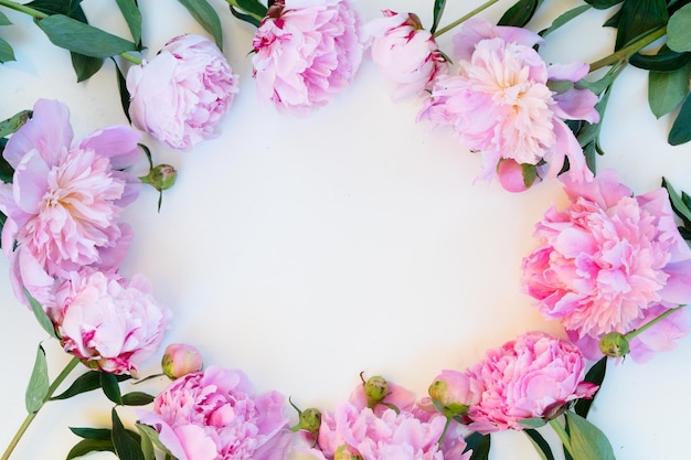 Beautiful fresh pink peony flowers frame on white table with copy space for your text top view and flat lay background