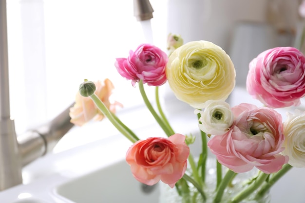 Beautiful fresh ranunculus flowers in kitchen sink closeup