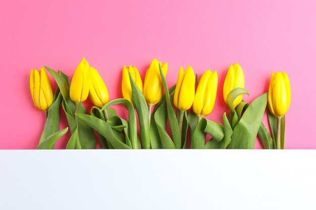 Beautiful fresh yellow tulips with blank card on color. Space for text