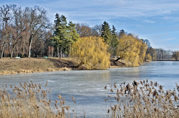 Beautiful frozen lake