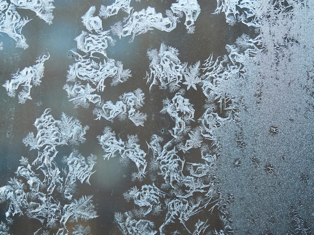 Photo beautiful frozen pattern on window glass in winter frosty season.