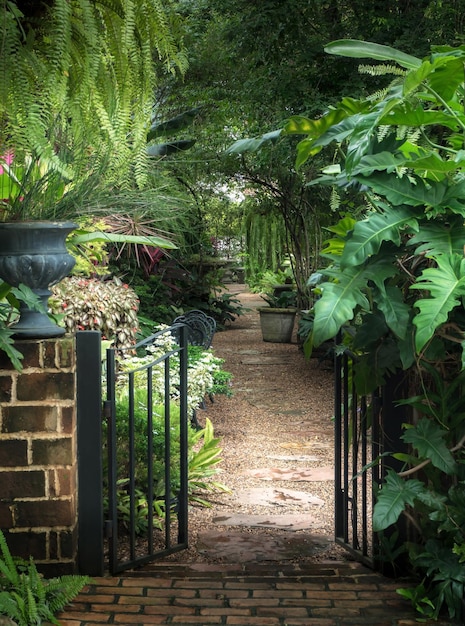 Foto bellissimo sfondo del giardino. idea accogliente in stile giardino.