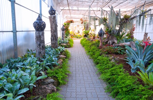 Photo beautiful garden in a greenhouse