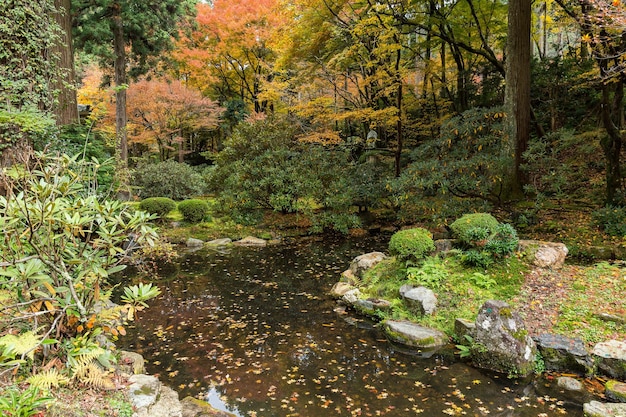 Beautiful garden in Japan