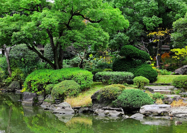 Красивый сад в Японии
