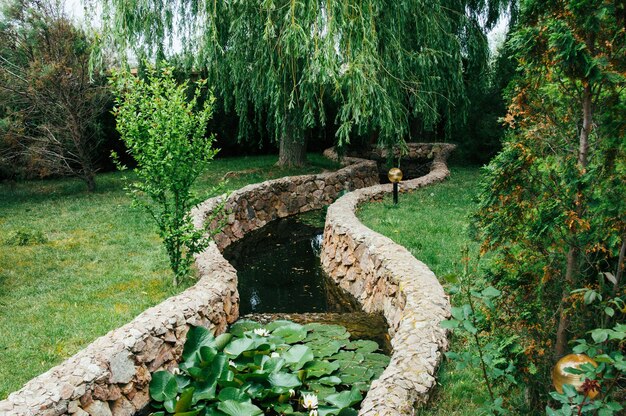 Beautiful garden landscape design, pond with water lilies, roses