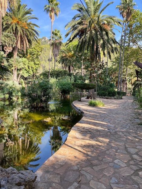 Bellissimo giardino a maiorca