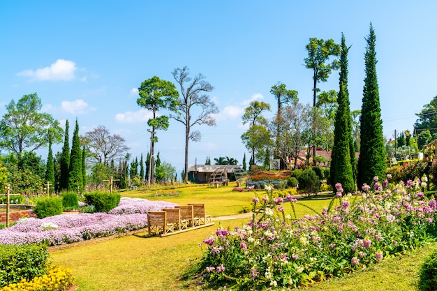 beautiful garden park on mountain in Chiang Mai, Thailand