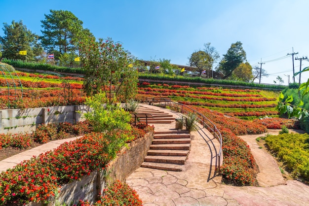 왕립 농업 역의 아름다운 정원-태국 치앙마이의 Doi Inthanon