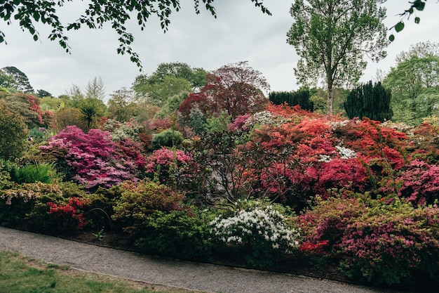 Foto bellissimo giardino con alberi in fiore durante il periodo primaverile