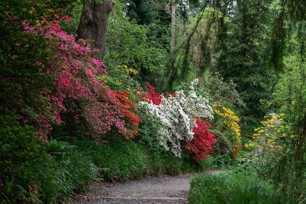 Beautiful Garden with blooming trees during spring time