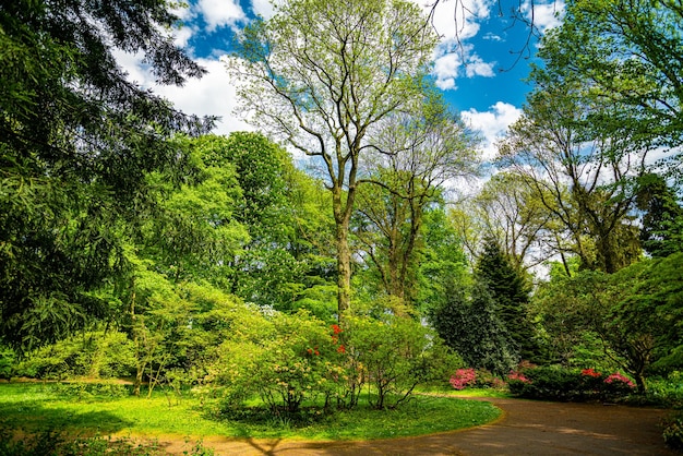 Beautiful Garden with blooming trees during spring time